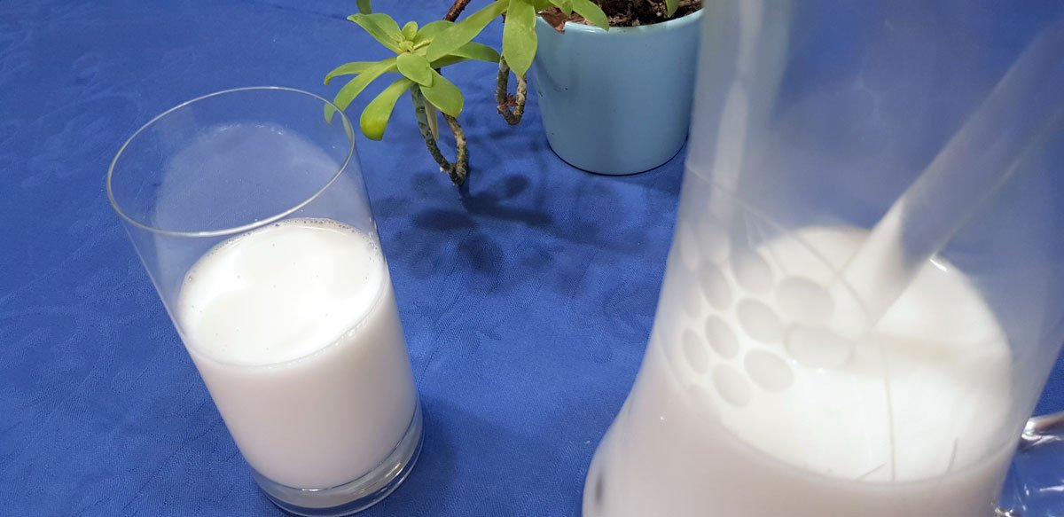 Leite de coco
