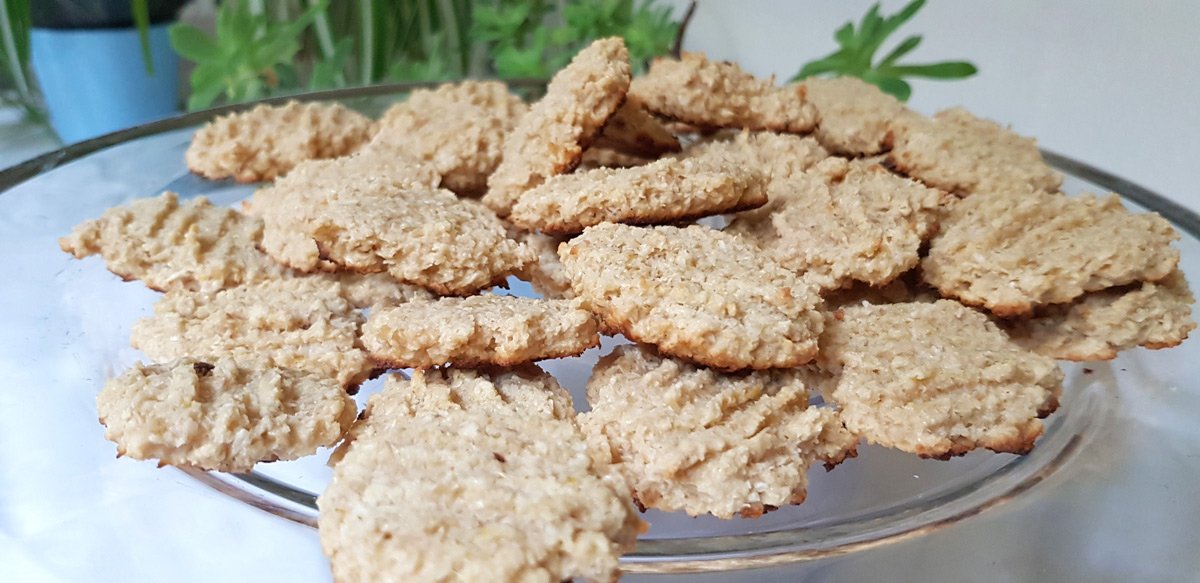 Oatmeal and coconut cookies 27